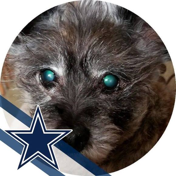 Meet your Posher, Colleen - Picture 1 of 1